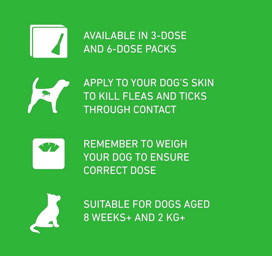 Frontline Spot On Plus Small Dog (2-10 kg) Flea Tick Treatment 6 Pipette